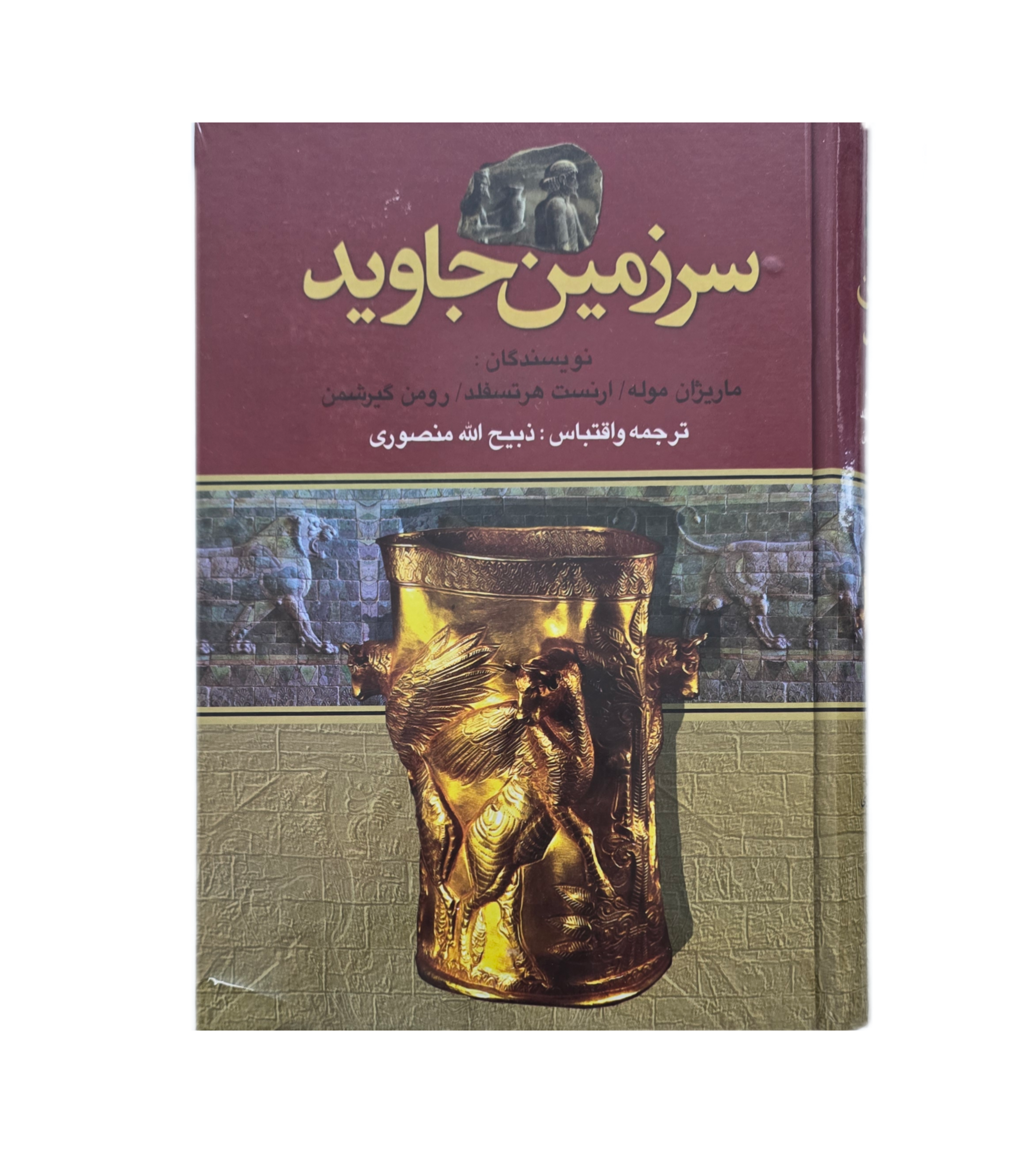 سرزمین جاوید
